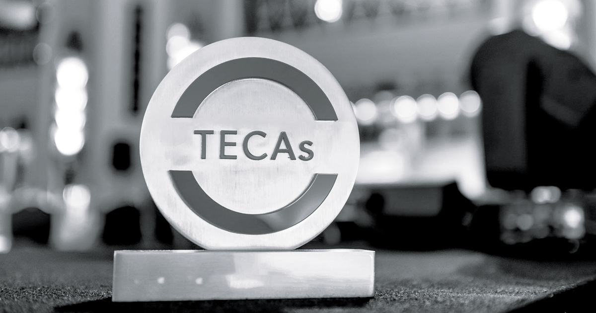 Image of a TECA's award statue in front of a out of focus background