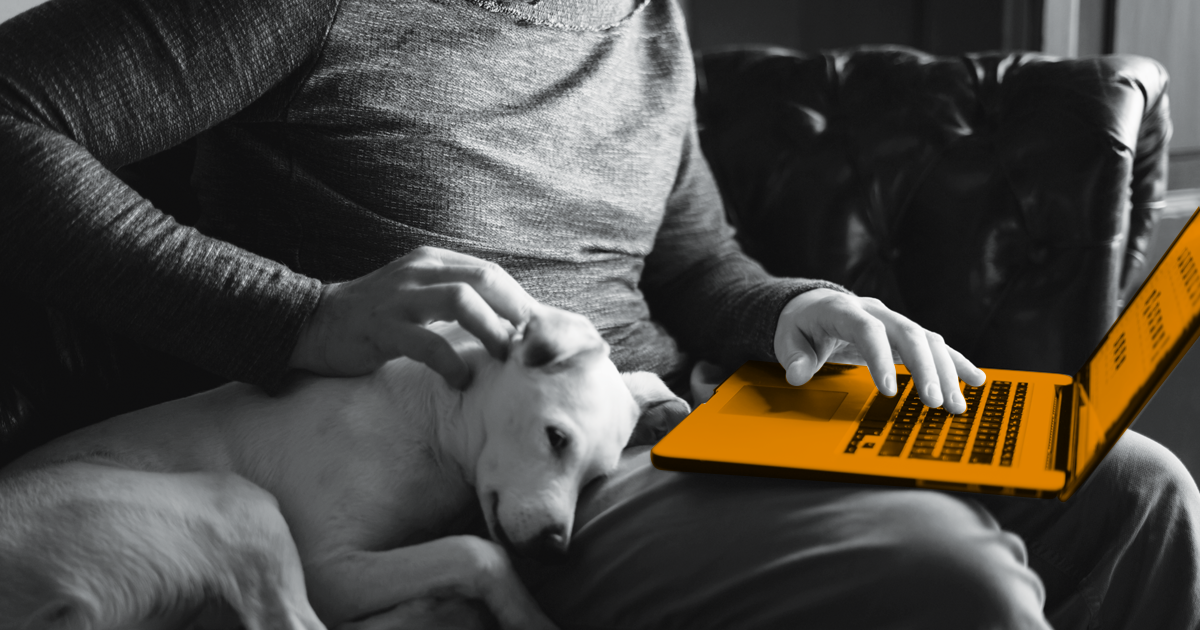Image of a man sitting on a couch with his laptop and dog