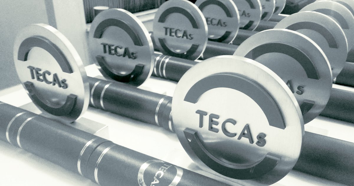 Image of TECA's award statues.