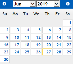 Image showing date input calander view