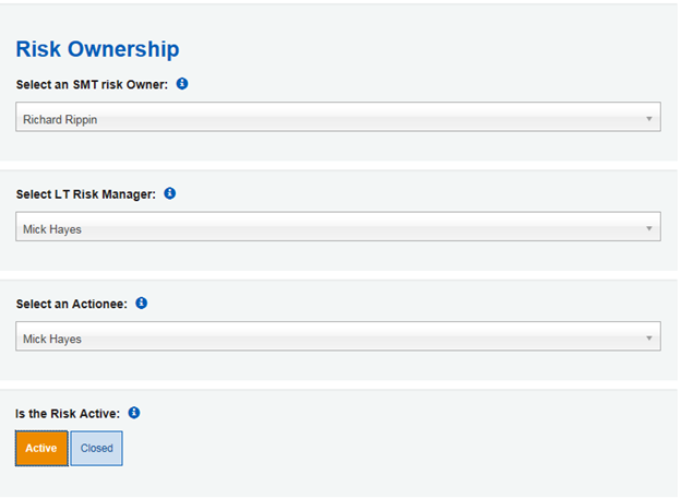 Image showing risk ownership section